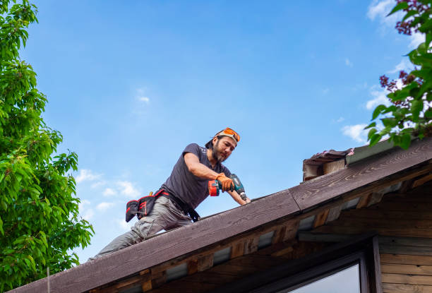 Trusted Carrizo Hill, TX  Roofing repair and installation Experts